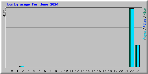 Hourly usage for June 2024